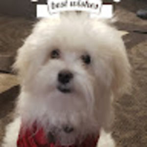 Meet your Posher, Nadja